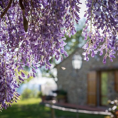 Le Cetinelle Konuk evi Greve in Chianti Dış mekan fotoğraf