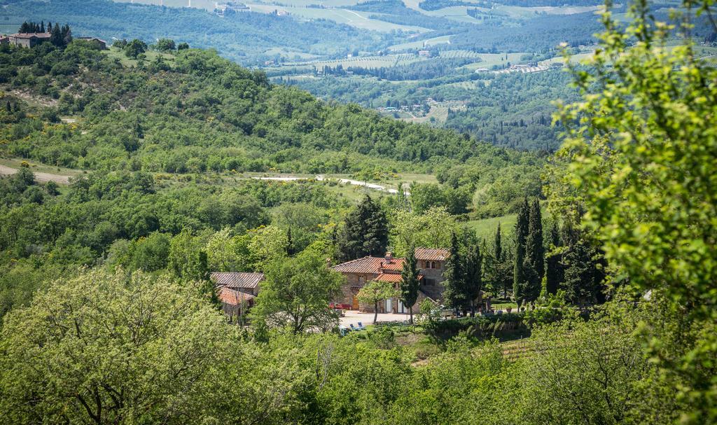 Le Cetinelle Konuk evi Greve in Chianti Dış mekan fotoğraf