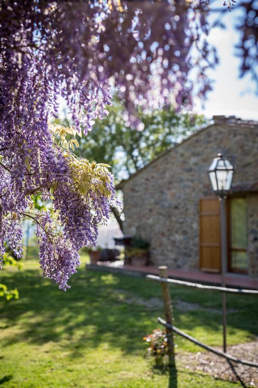Le Cetinelle Konuk evi Greve in Chianti Dış mekan fotoğraf